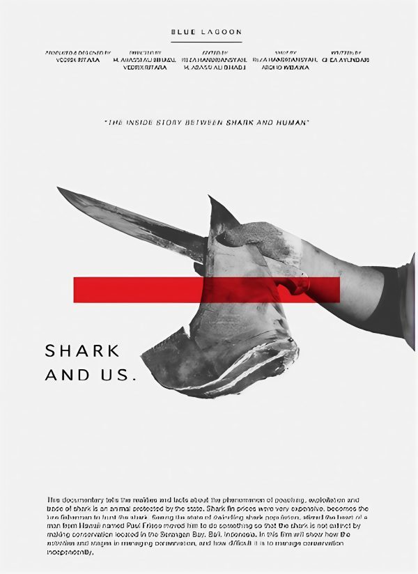 Shark & Us